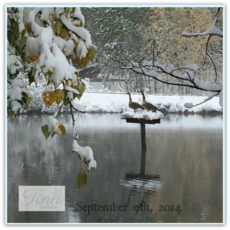 sept 9 2014 snow couple